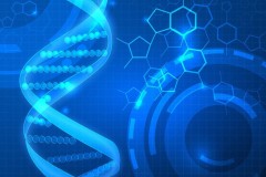 中科赛立复研究发现体内CD38高表达者对NMN不响应