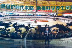 “自护力”刷屏，怎样能补全所需营养？