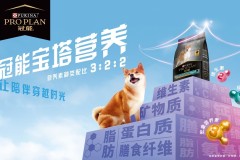 “冠能宝塔营养”以预防营养帮助宠物抵御健康风险