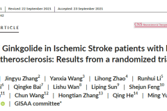 银杏内酯注射液治疗急性缺血性卒中的RCT新证据重磅发布