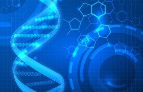 中科赛立复研究发现体内CD38高表达者对NMN不响应