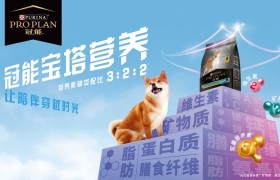 “冠能宝塔营养”以预防营养帮助宠物抵御健康风险