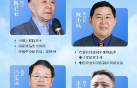 业内首创营养理念官宣在即！9月8日冠能将为宠物食品行业带来哪些新思考？